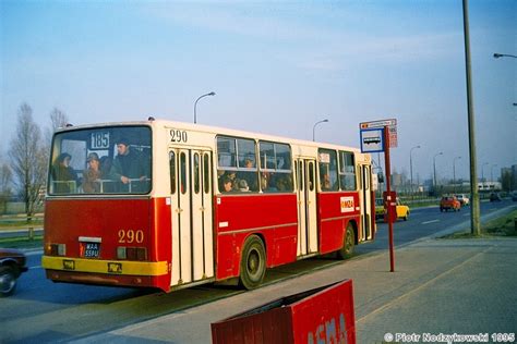 Transport Database And Photogallery Ikarus