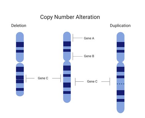 Copy Number Variants Accugenomics