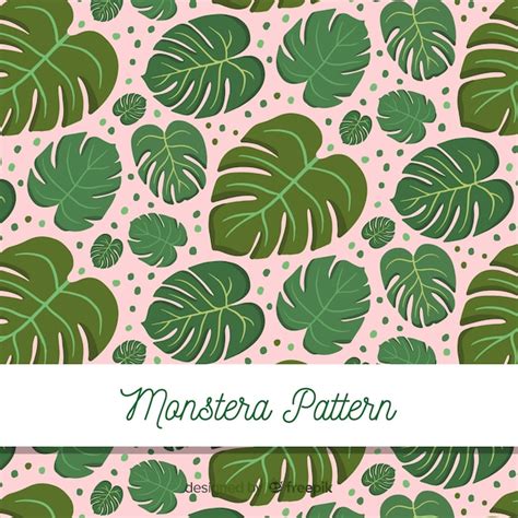 Fondo Hojas De Monstera Y Puntos Vector Gratis