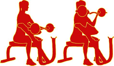 Seated Preacher Bench Curls Clipart Full Size Clipart