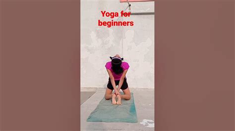 Yoga For Beginners Nisha Pratigya Yoga Viral 🔥 Youtube