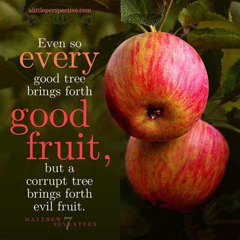 Even So Every Good Tree Brings Forth Good Fruit But A Corrupt Tree