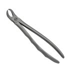 Prodent Usa Universal Extraction Forceps For Lower Incisors