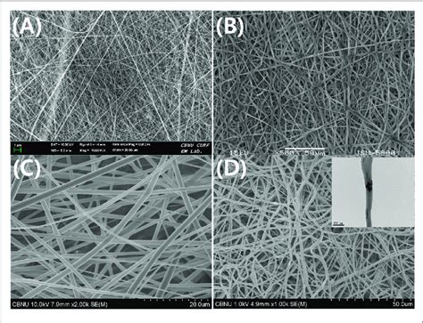 Electrospun Nanofibers Primarily Used In Bone Tissue Engineering Field Download Scientific