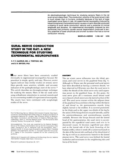 SOLUTION: Dejesus1978 nerve conduction velocity electromyography