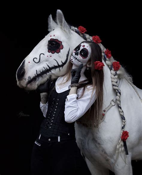 Halloween Costume Idea For Horse And Rider Horse Costumes Horse