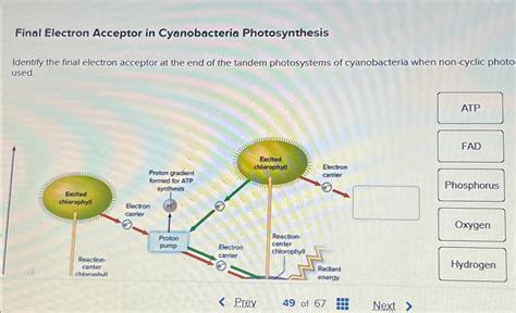 Solved Final Electron Acceptor in Cyanobacteria | Chegg.com