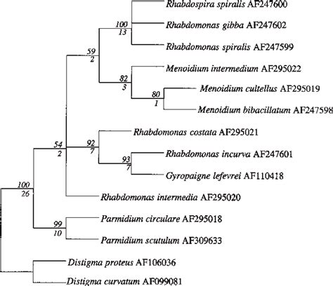 Figure 3 From Phylogenetic Position And Inter Relationships Of The