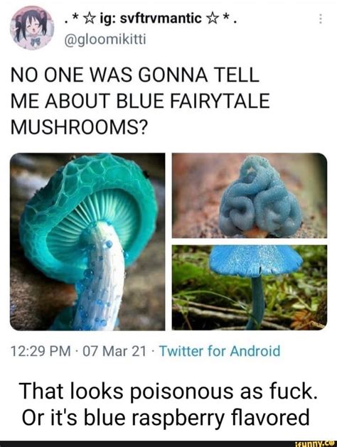 Blue Fairy Tale Mushroom Grants The User Poison Magic Tastes Like