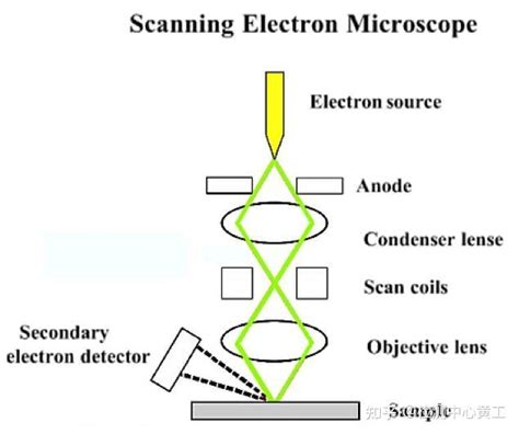 Sem干货知识｜扫描电子显微镜sem与edx能谱分析 知乎