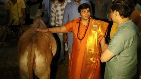 Pragya Thakur Says I Dont Have Covid 19 Because I Drink Cow Urine