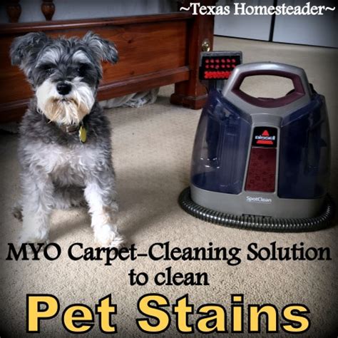 Homemade Carpet Cleaner Solution For Pet Stains Texas Homesteader