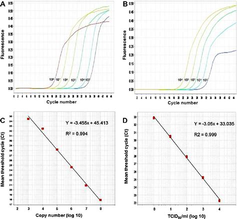 Sensitivity Of The Sybr Green I Based Real Time Pcr Amplification