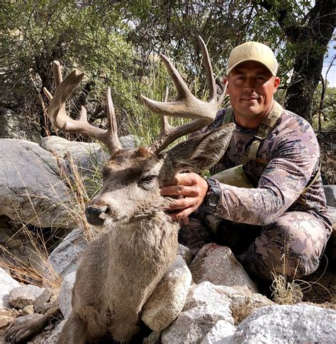 Arizona Big Game Hunting Outfitter Outfitted Mule Deer Elk Hunts Az