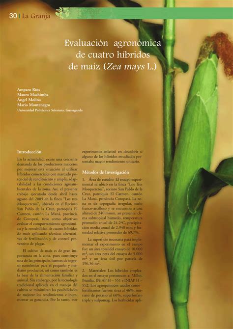 Pdf Evaluación Agronómica De Cuatro Híbridos De Maíz Zea Mays L