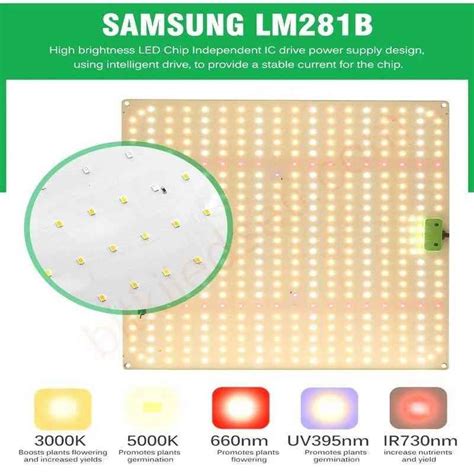 Watt Samsung Lm B Quantum Qbk Plus Led Bitki B Y Tme Led I K