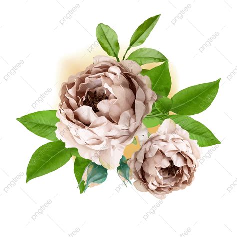flower  background png vector psd  clipart