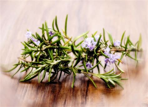 Эликсир молодости: Для детоксикации печени