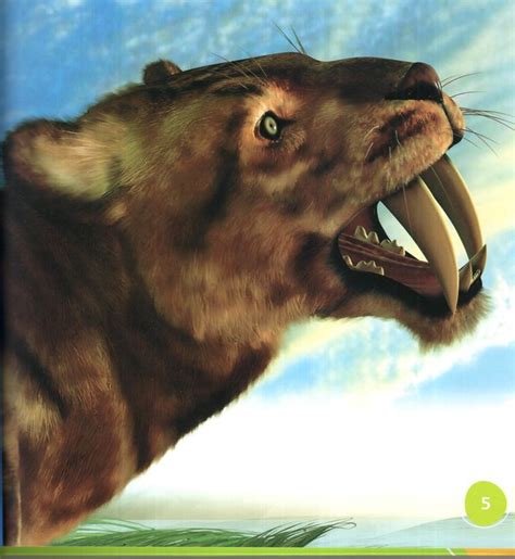 El Tigre Dientes De Sable Saber Toothed Cat Bumba Books En Español