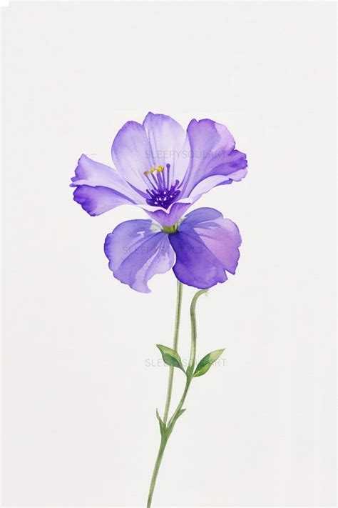 February Violet Birth Flower - Modesty and Enduring Beauty Home Decor