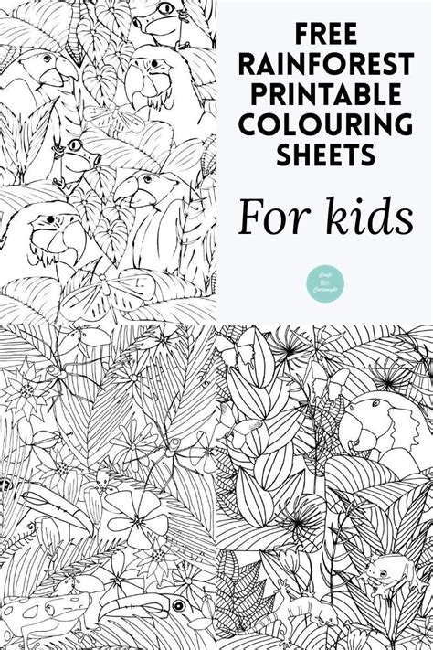 Free Rainforest Printable Colouring Sheets Printable Coloring Sheets