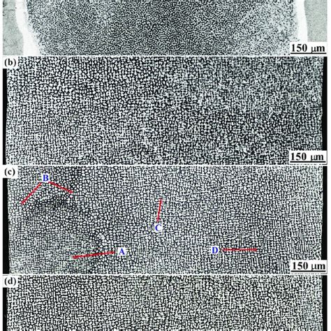 The Microstructure After Heat Treatment In The A Vertical Section And Download Scientific