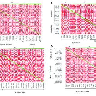 Heat Map Of The Genomic Relationship Matrix For A Bartlow Combine