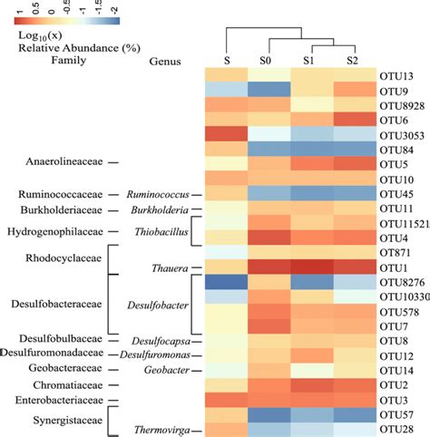 Heatmap Of Genera Relative Abundance ≥ 1 In At Least One Sample The Download Scientific