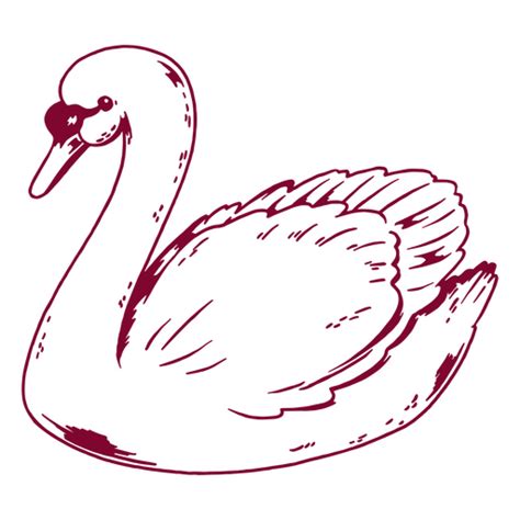 Design PNG E SVG De Design Romântico De Cisne Para Camisetas