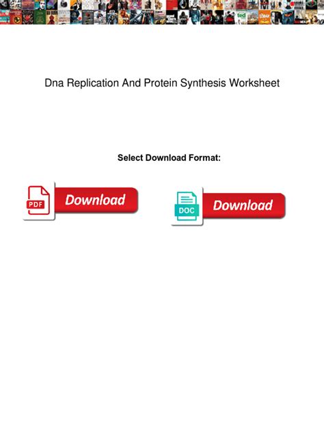 Fillable Online Dna Replication And Protein Synthesis Worksheet Dna