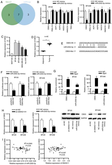 Cbx5 Is A Downstream Of Mir 2355 5p A Seven Potential Target Genes