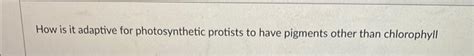 Solved How is it adaptive for photosynthetic protists to | Chegg.com