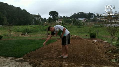 Aprenda Agora Como Plantar Sementes De Grama Para As Esta Es