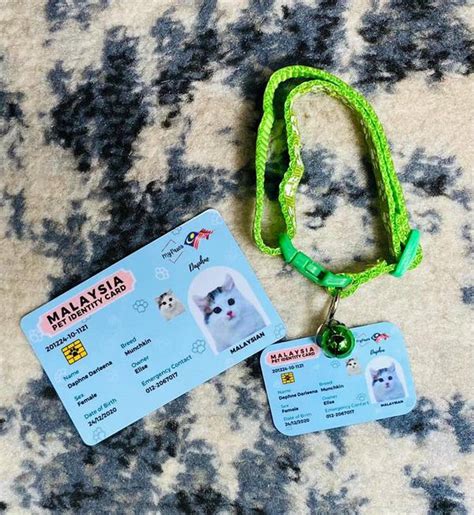 Cara Buat Kad Pengenalan Kucing Ic Id Card Kad Pengenalan Kucing