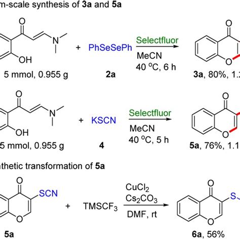 Gram Scale Synthesis Of 3a 5a And Synthetic Transformation Of 5a