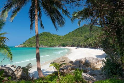 Book Hostel in Koh Phangan Located Near The Beach | Bodega Hostel