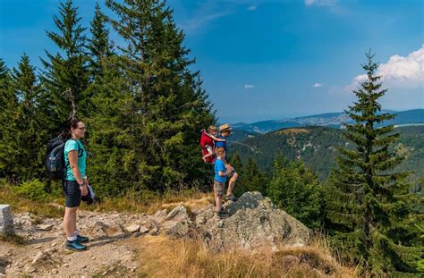 Deutschlands schönster Wanderweg Doppelsieg für den Schwarzwald