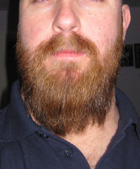 Curling Beard Beard Board