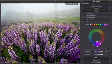 Best Raw Photo Editor In Free And Paid Mac Windows