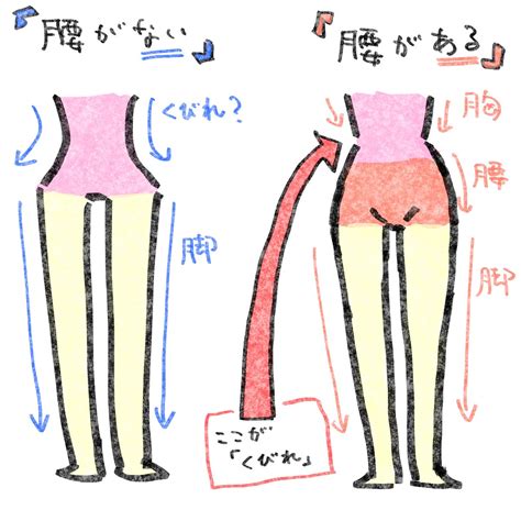 「中学生の頃の自分に教えたい‼️ 📘くびれと腰の豆知識 「くびれ」を描こうとして 「腰」がなくなってませんか 安心」96こげ【作画のコツ】の漫画