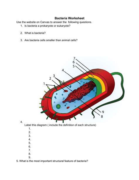 Types Of Bacteria Worksheet