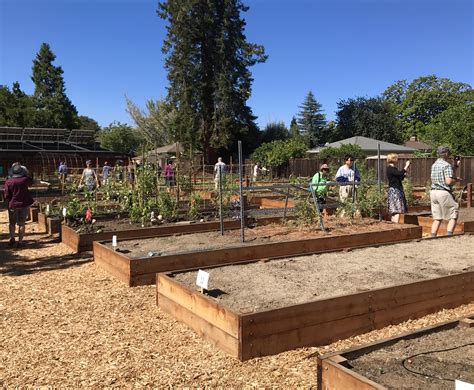 New Community Garden Opens — Mountain View Visitor's Center