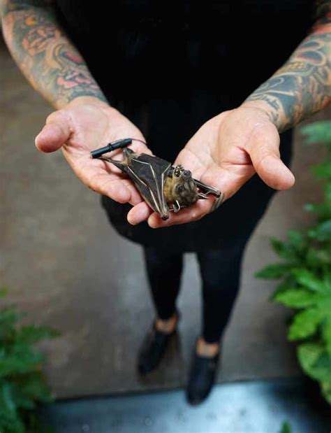 A Person Holding A Bat In Their Hands