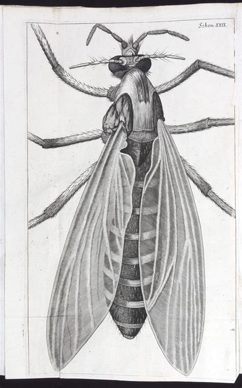 micrographia wewastetime