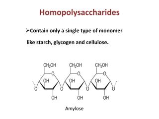 Heteropolysaccharide Ppt