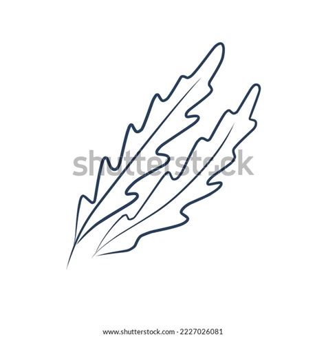 Set Sketch Food Illustration Black White Stock Vector (Royalty Free) 2227026081 | Shutterstock