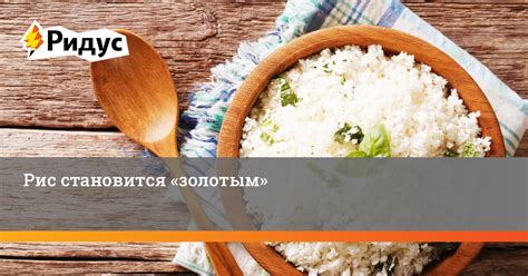 Рис становится «золотым»