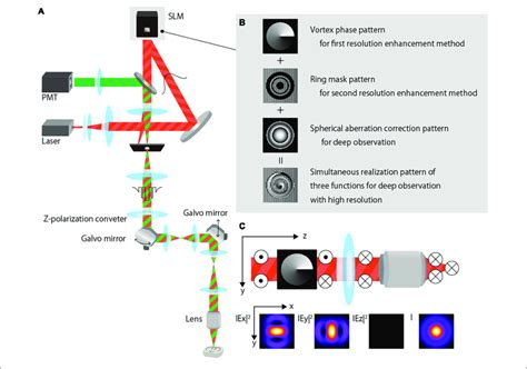 Proposed Two Photon Excitation Fluorescence Microscopy A Schematic