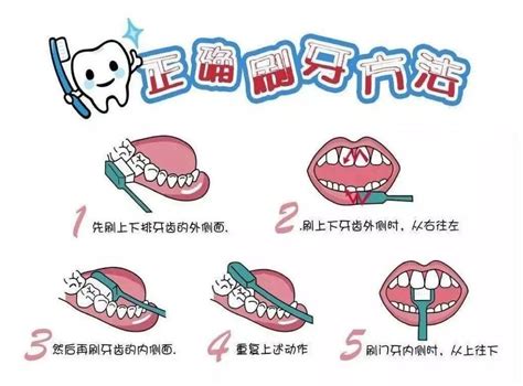 爱护牙齿，从宝宝做起