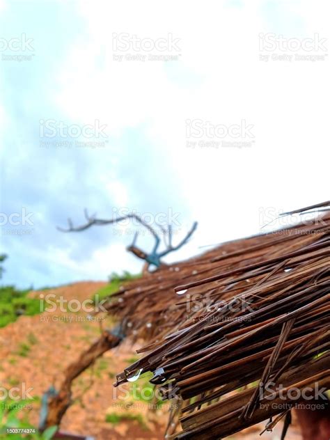 Close Up The Edge Of Dried Coconut Leaves Roof Material Stock Photo - Download Image Now - iStock